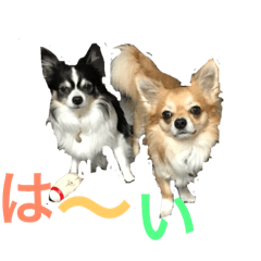 [LINEスタンプ] パトラ＆レオン2