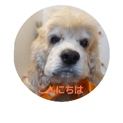 [LINEスタンプ] のほほんぱんな