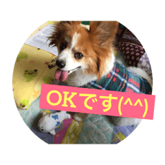[LINEスタンプ] りんりんレオンチョコ♡