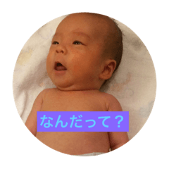 [LINEスタンプ] やまたん3