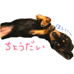 [LINEスタンプ] ワカたんの気持ち