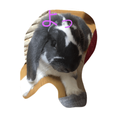 [LINEスタンプ] chingennsai500