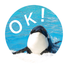 [LINEスタンプ] 動物お顔スタンプ
