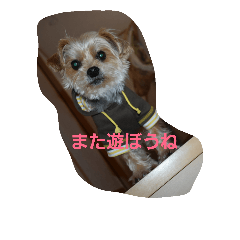 [LINEスタンプ] わんこたちの日常