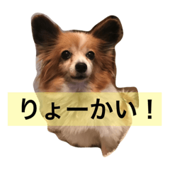 [LINEスタンプ] ミリアン