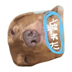 [LINEスタンプ] クルモナスタンプ