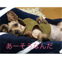 [LINEスタンプ] okachan39