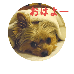 [LINEスタンプ] Rin's stamps part2