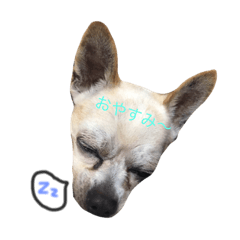 [LINEスタンプ] いぐいぐ