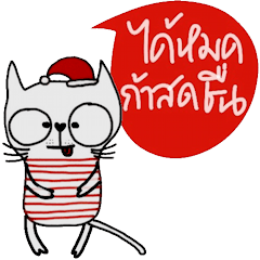 [LINEスタンプ] Oh my Cat, Be happy Everyday.の画像（メイン）