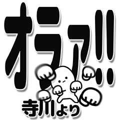 [LINEスタンプ] 寺川さんデカ文字シンプル