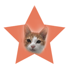 [LINEスタンプ] そらりんちょ2