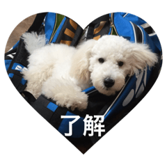 [LINEスタンプ] vanilla 3