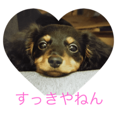 [LINEスタンプ] バーニィの呟き