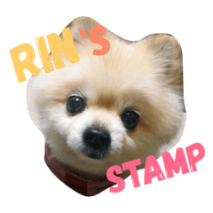 [LINEスタンプ] ポメりん stamp