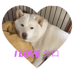 [LINEスタンプ] クロさんの呟き3