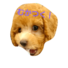 [LINEスタンプ] ぼく、うに。3
