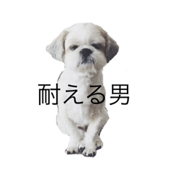 [LINEスタンプ] チャーリーとおでん