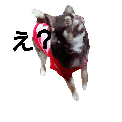 [LINEスタンプ] YEAH Dog