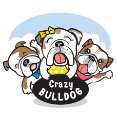 [LINEスタンプ] Crazy Bulldog