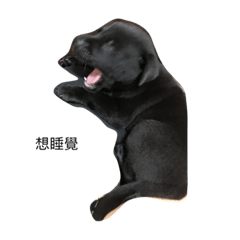 [LINEスタンプ] Echo speck