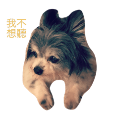 [LINEスタンプ] little prince my boy