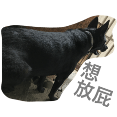 [LINEスタンプ] B-dog
