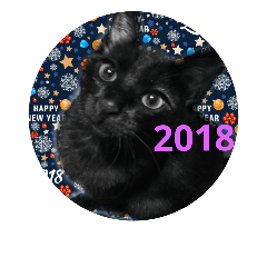 [LINEスタンプ] Lovelyblackcat