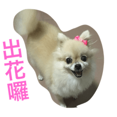 [LINEスタンプ] Lu little sister's life