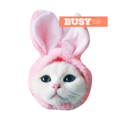 [LINEスタンプ] Fantastic cat Yuki