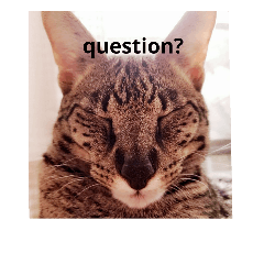 [LINEスタンプ] 猫との日々