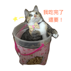 [LINEスタンプ] kitty flower