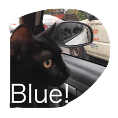 [LINEスタンプ] Black. Cat.