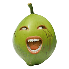 [LINEスタンプ] Coconut Smile (Japan)