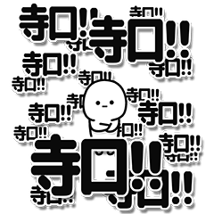 [LINEスタンプ] 寺口さんデカ文字シンプル