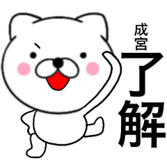 [LINEスタンプ] 【成宮】が使う主婦が作ったデカ文字ネコ