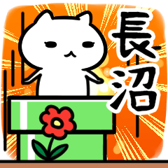 [LINEスタンプ] 長沼ながぬま,なかぬま専用スタンプ40個入