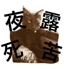 [LINEスタンプ] 黒猫銀河