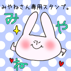 [LINEスタンプ] みやねさん専用スタンプの画像（メイン）