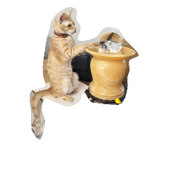 [LINEスタンプ] MoMo cat's