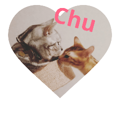 [LINEスタンプ] 風雅と蕾雅