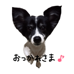[LINEスタンプ] 犬のスタンプ2
