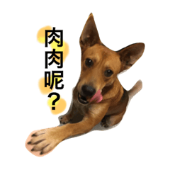 [LINEスタンプ] Bonchi