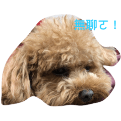 [LINEスタンプ] A fin