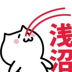 [LINEスタンプ] 浅沼(あさぬま)専用スタンプ！！！