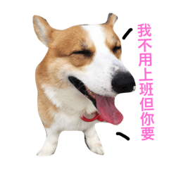 [LINEスタンプ] corgi_fat