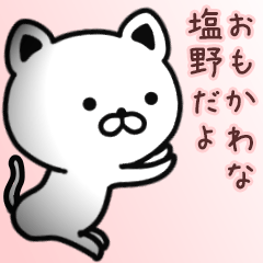 [LINEスタンプ] 塩野さん専用面白可愛い名前スタンプ