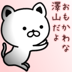 [LINEスタンプ] 澤山さん専用面白可愛い名前スタンプ