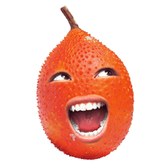 [LINEスタンプ] Gac fruit emotion