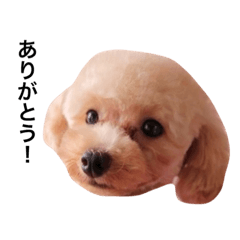 [LINEスタンプ] ニコ＆ポコ